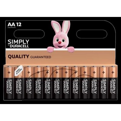 Duracell AA Alkaline Batteries